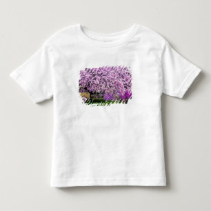 Camiseta De Bebé EE. UU., Delaware, Wilmington. Banco de madera baj
