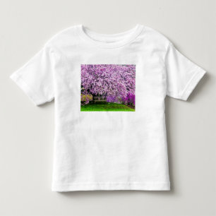 Camiseta De Bebé EE. UU., Delaware, Wilmington. Banco de madera baj