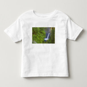 Camiseta De Bebé EE.UU., Eagle Creek, Columbia Gorge, Oregón.2