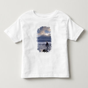 Camiseta De Bebé EE. UU., Estado de Washington, Parque Nacional Olí
