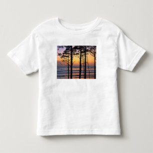Camiseta De Bebé EE. UU., Estado de Washington, PN Olímpico. Delica