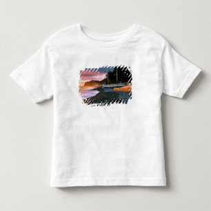 Camiseta De Bebé EE. UU., Estado de Washington, PN Olímpico. Las ol