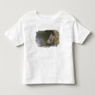 Camiseta De Bebé EE. UU., Estado de Washington, Trepador pechirrojo