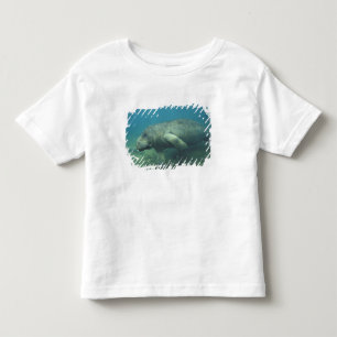 Camiseta De Bebé EE. UU., FL, Manatee