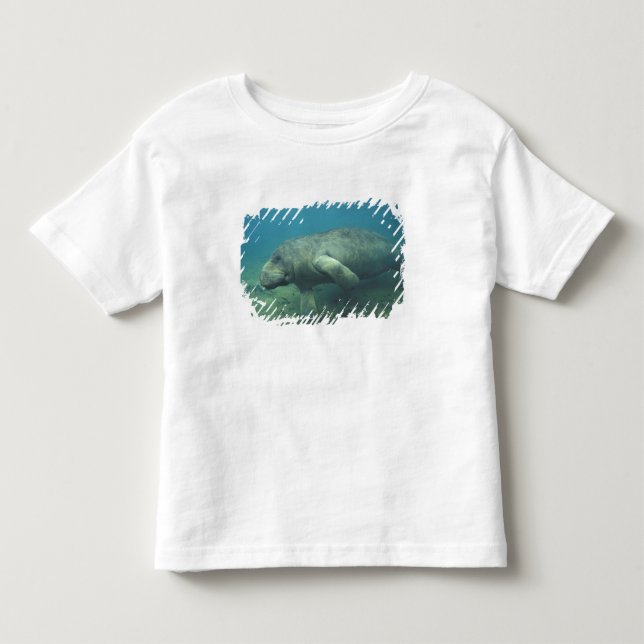 Camiseta De Bebé EE. UU., FL, Manatee (Anverso)