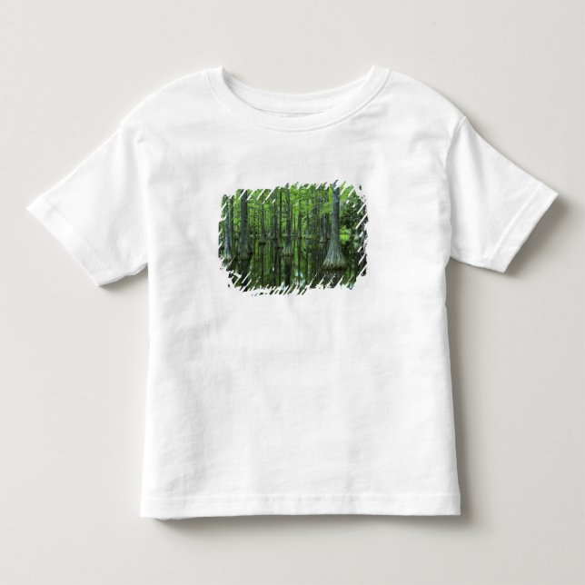 Camiseta De Bebé EE. UU., Florida, Bosque Nacional Apalachicola, Ca (Anverso)