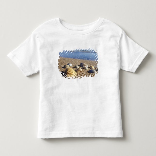 Camiseta De Bebé EE. UU., Florida, conchas marinas costeras (Anverso)