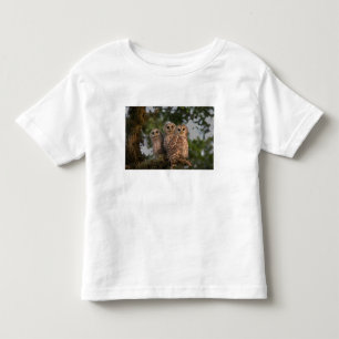 Camiseta De Bebé EE. UU., Florida, humedales de Viera. Tres barred
