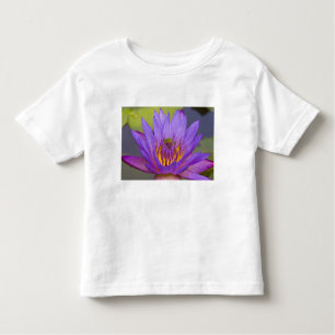 Camiseta De Bebé EE.UU., Florida, Lago Kissimmee. Rana de hoja verd