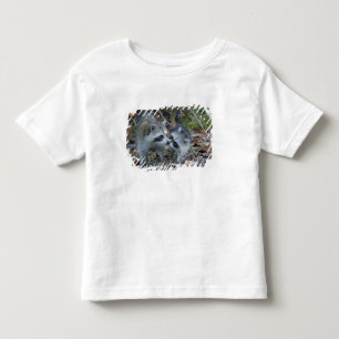 Camiseta De Bebé EE. UU., Florida, Sanibel, Ding Darling Nacional