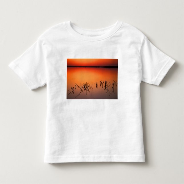 Camiseta De Bebé EE.UU., Florida. Siluetas de ramas de árboles muer (Anverso)