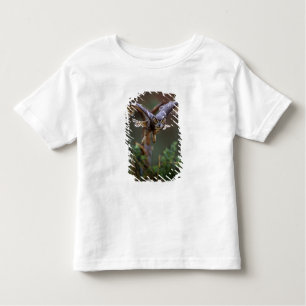 Camiseta De Bebé EE.UU., Georgia, Montaña Pine, Jardines Callaway.