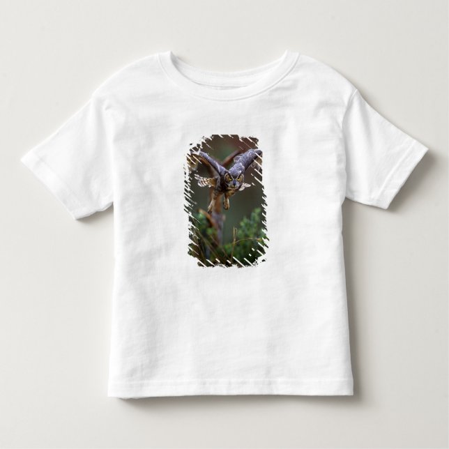 Camiseta De Bebé EE.UU., Georgia, Montaña Pine, Jardines Callaway. (Anverso)