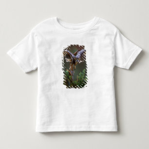 Camiseta De Bebé EE. UU., Georgia, Pine Mountain, Callaway Gardens.