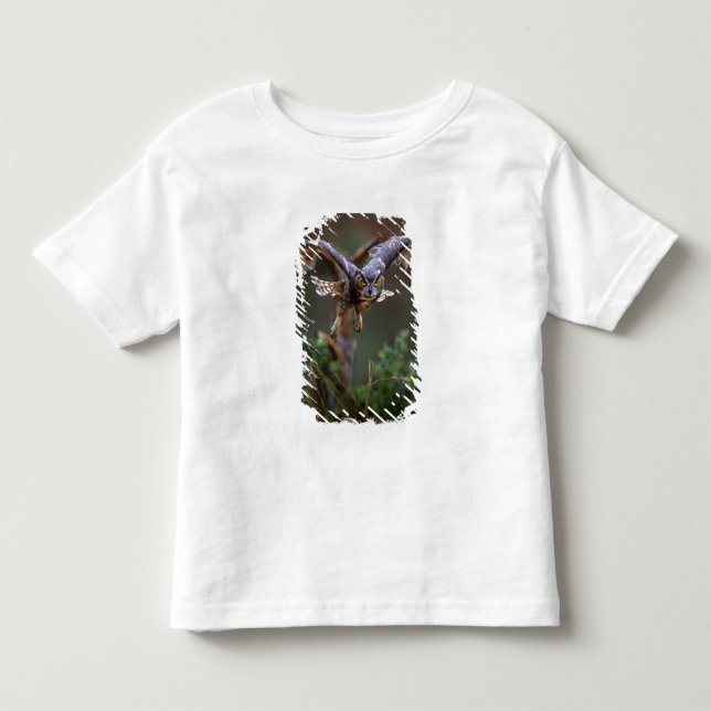 Camiseta De Bebé EE. UU., Georgia, Pine Mountain, Callaway Gardens. (Anverso)