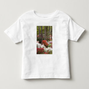 Camiseta De Bebé EE. UU., Georgia, Pine Mountain. Un bosque de