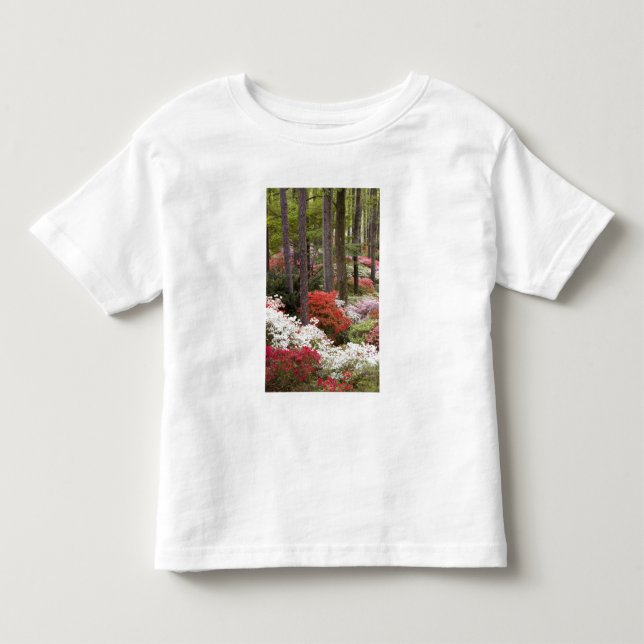 Camiseta De Bebé EE. UU., Georgia, Pine Mountain. Un bosque de (Anverso)