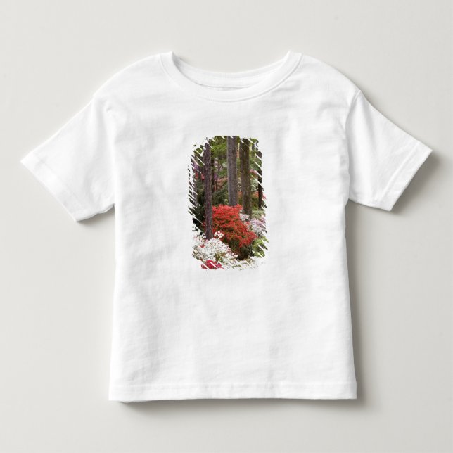 Camiseta De Bebé EE. UU., Georgia, Pine Mountain. Un bosque de (Anverso)