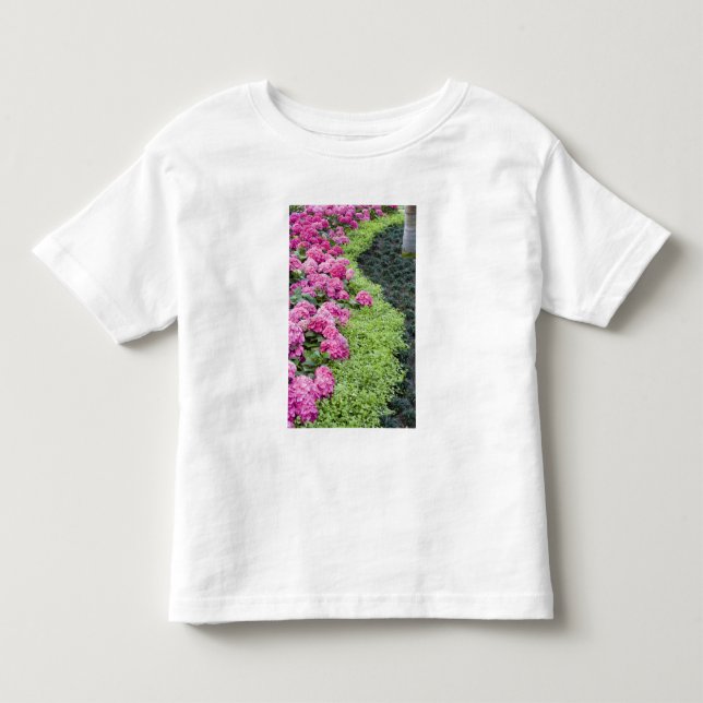 Camiseta De Bebé EE. UU., Georgia, Pine Mountain. Una frontera de p (Anverso)
