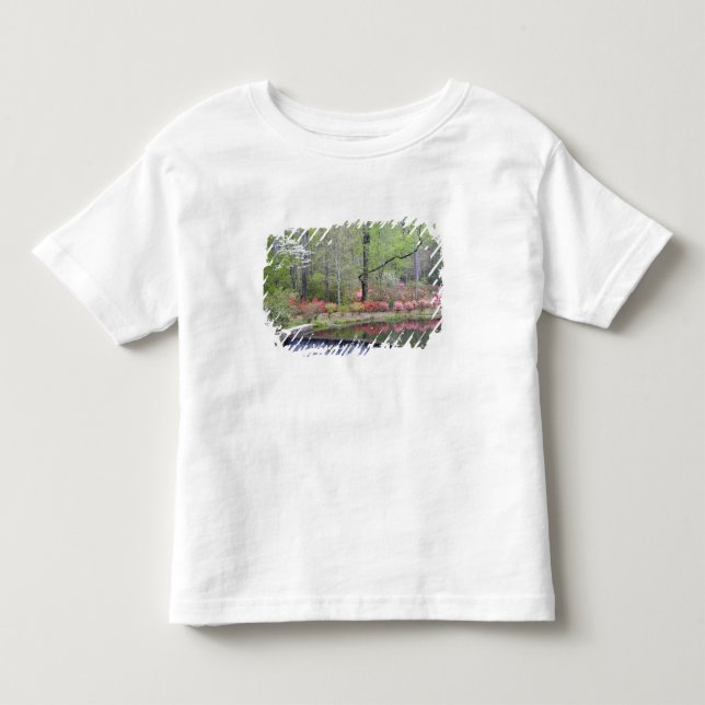 Camiseta De Bebé EE. UU., Georgia, Pine Mountain. Una pequeña casca (Anverso)