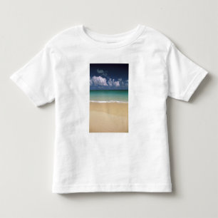 Camiseta De Bebé EE. UU., Hawái. Escena de playa