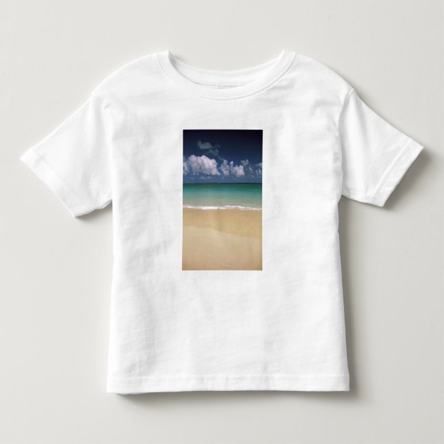 Camiseta De Bebé EE. UU., Hawái. Escena de playa (Anverso)