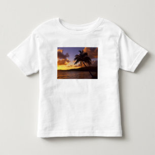 Camiseta De Bebé EE. UU., Hawái, Kauai, Amanecer colorido en un 2