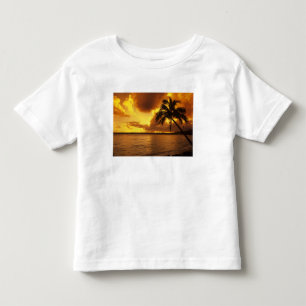 Camiseta De Bebé EE. UU., Hawái, Kauai, Colorido amanecer en un