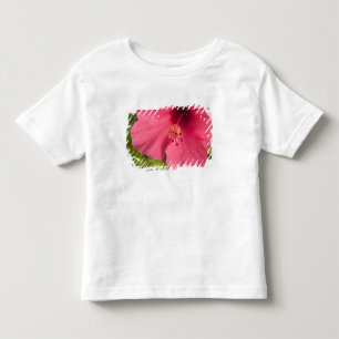Camiseta De Bebé EE. UU., Hawái, Kauai, Hibisco