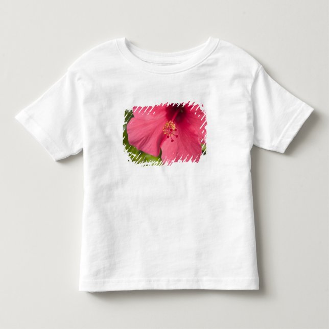 Camiseta De Bebé EE. UU., Hawái, Kauai, Hibisco (Anverso)