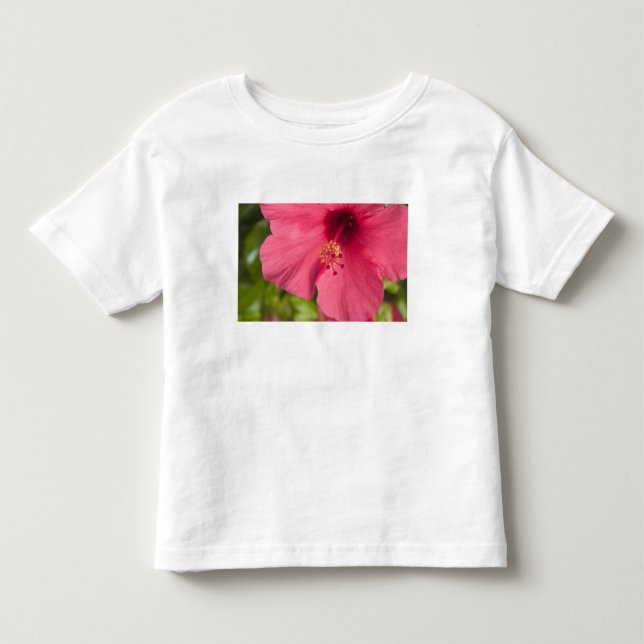 Camiseta De Bebé EE. UU., Hawái, Kauai, Hibisco (Anverso)