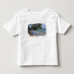 Camiseta De Bebé EE. UU., Hawái, Kauai, paisaje de playa. RF)