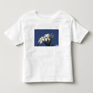 Camiseta De Bebé EE. UU., Hawái, Kauai, plumeria blanca.