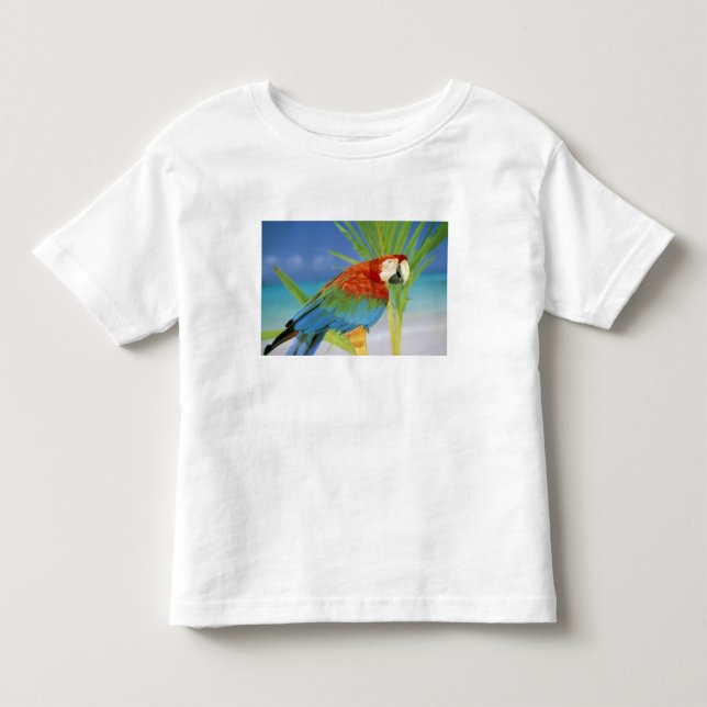 Camiseta De Bebé EE. UU., Hawái. Loro (Anverso)