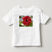 EE. UU., Hawái, Oahu. El Hibisco es el