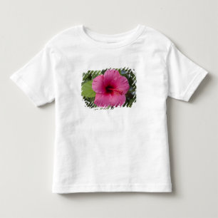 Camiseta De Bebé EE. UU., Hawái, Oahu. El Hibisco es el 2