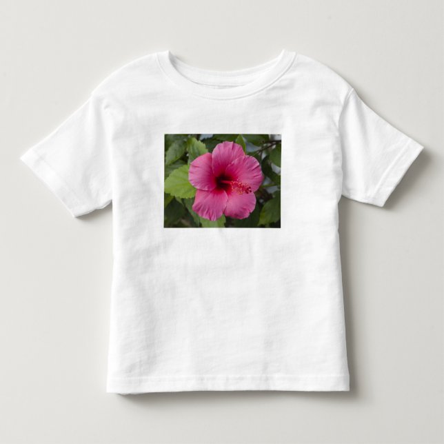 Camiseta De Bebé EE. UU., Hawái, Oahu. La Hibiscus es la 2 (Anverso)