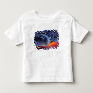Camiseta De Bebé EE.UU., Hawaii, Gran Isla, Kilauea, Volcanes NP,