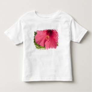 Camiseta De Bebé EE.UU., Hawaii, Kauai, Hibiscus