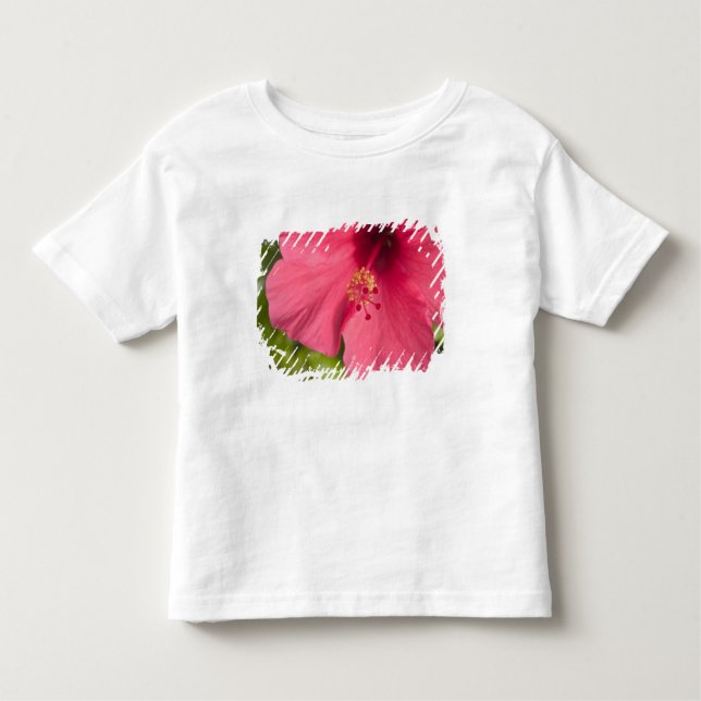 Camiseta De Bebé EE.UU., Hawaii, Kauai, Hibiscus (Anverso)