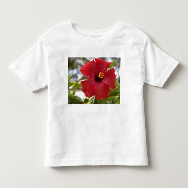 Camiseta De Bebé EE.UU., Hawaii, Oahu. El Hibiscus es el (Anverso)