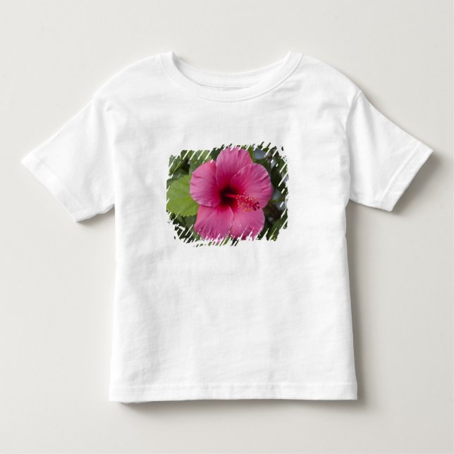 Camiseta De Bebé EE.UU., Hawaii, Oahu. El Hibiscus es el 2 (Anverso)
