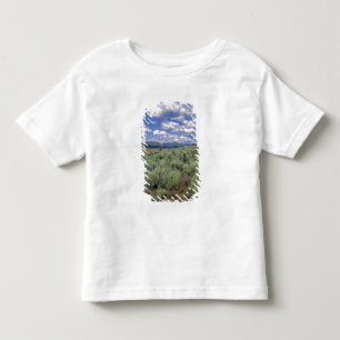 Camiseta De Bebé EE. UU., Idaho, Condado de Camas. Artemisa y lupin