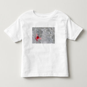 Camiseta De Bebé EE.UU., Indiana, Indianápolis. Cardenal masculino