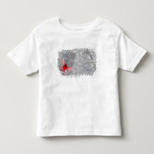 Camiseta De Bebé EE. UU., Indiana, Indianápolis. Un cardenal macho