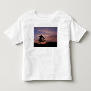 Camiseta De Bebé EE. UU., Kentucky, Cumberland Gap Nacional