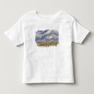Camiseta De Bebé EE. UU., Kentucky, Louisville. Cultivo de trigo y
