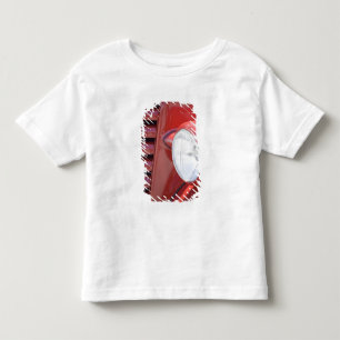 Camiseta De Bebé EE. UU., Maine, Cabeza de búho. Luz frontal y parc