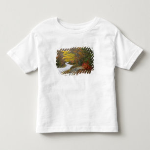 Camiseta De Bebé EE.UU., Maine, Camden. Carretera que atraviesa Cam