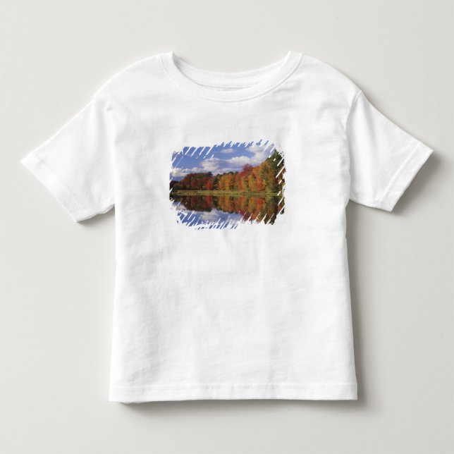 Camiseta De Bebé EE. UU., Massachusetts, Acton. Reflejo de otoño (Anverso)